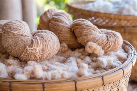 Cotton, une fibre naturelle polyvalente pour la fabrication de textiles durables !